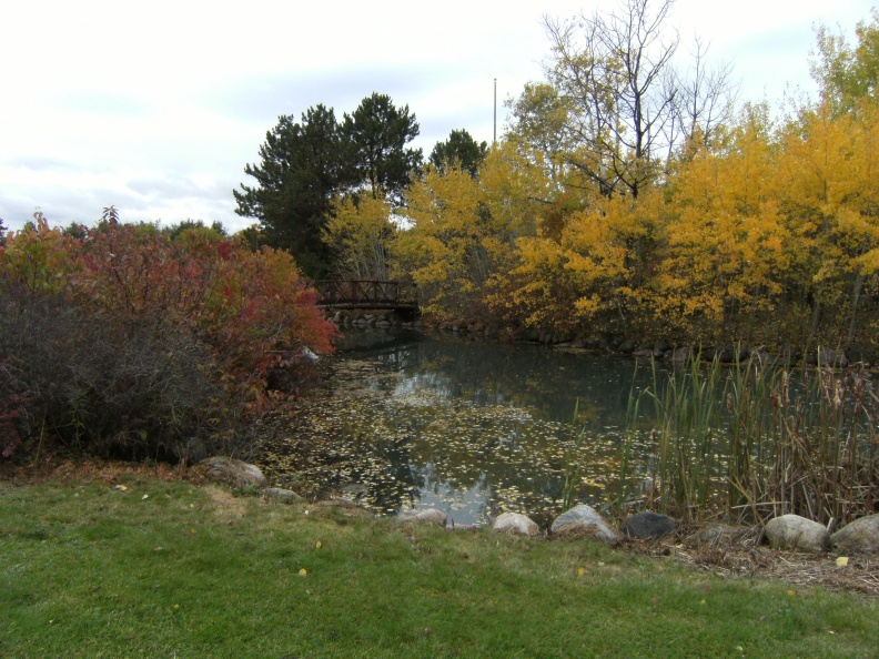 The Woodward mill pond in October 2014.JPG